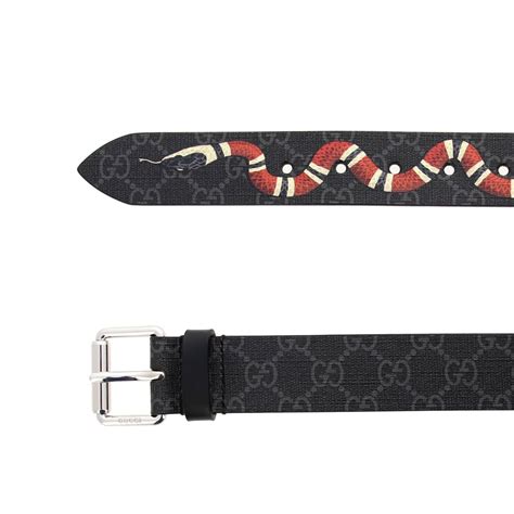 cinture gucci serpente